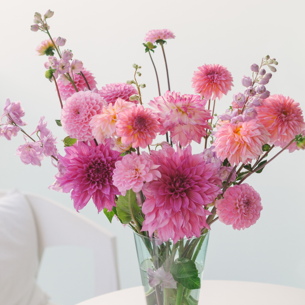 ورد زهري عالي